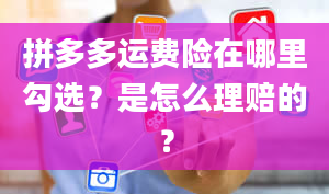 拼多多运费险在哪里勾选？是怎么理赔的？