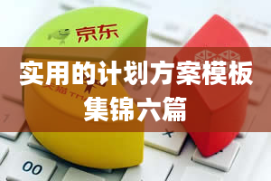 实用的计划方案模板集锦六篇