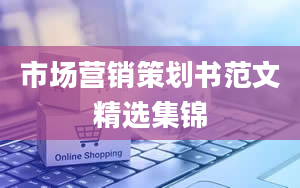 市场营销策划书范文精选集锦