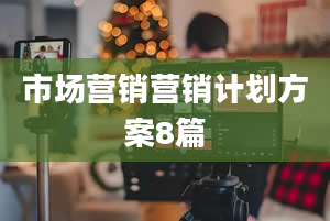 市场营销营销计划方案8篇