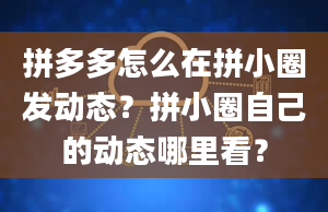 拼多多怎么在拼小圈发动态？拼小圈自己的动态哪里看？