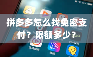 拼多多怎么找免密支付？限额多少？