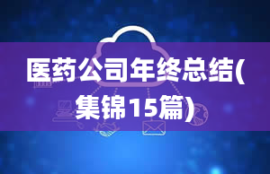 医药公司年终总结(集锦15篇)