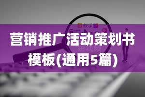 营销推广活动策划书模板(通用5篇)