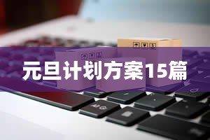 元旦计划方案15篇