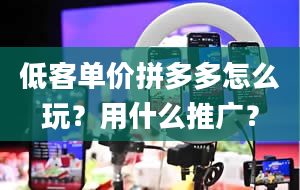 低客单价拼多多怎么玩？用什么推广？