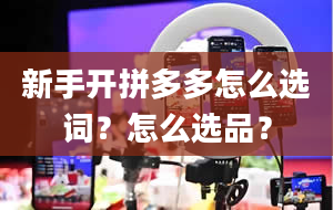 新手开拼多多怎么选词？怎么选品？