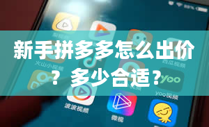 新手拼多多怎么出价？多少合适？