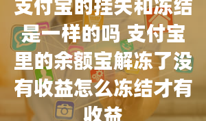 支付宝的挂失和冻结是一样的吗 支付宝里的余额宝解冻了没有收益怎么冻结才有收益