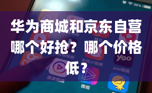 华为商城和京东自营哪个好抢？哪个价格低？