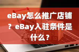 eBay怎么推广店铺？eBay入驻条件是什么？