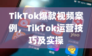 TikTok爆款视频案例，TikTok运营技巧及实操