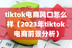 tiktok电商风口怎么样（2023年tiktok电商前景分析）