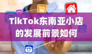 TikTok东南亚小店的发展前景如何