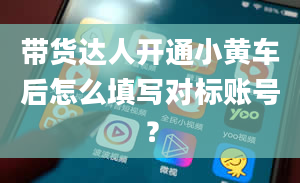 带货达人开通小黄车后怎么填写对标账号？